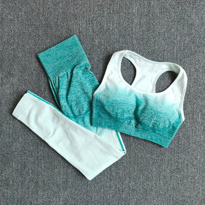 Gym Clothing High Waist Sports Suit